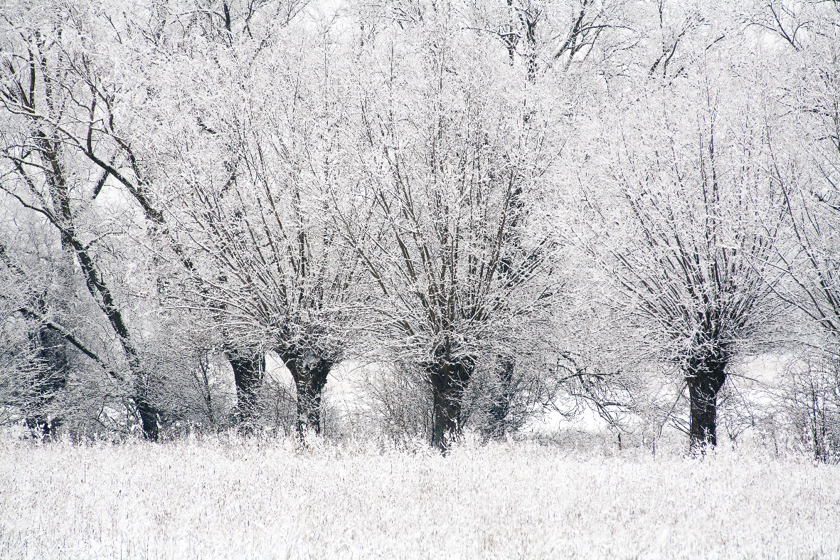 EC2からSnowflake に接続する：snowflake-connector-pythonの要点（認証・ネットワーク）